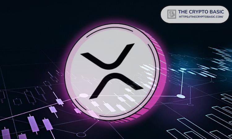 专家称XRP比90％的其他代币更优秀